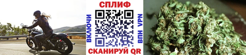 Купить где  Новочеркасск  Канабис White Widow 